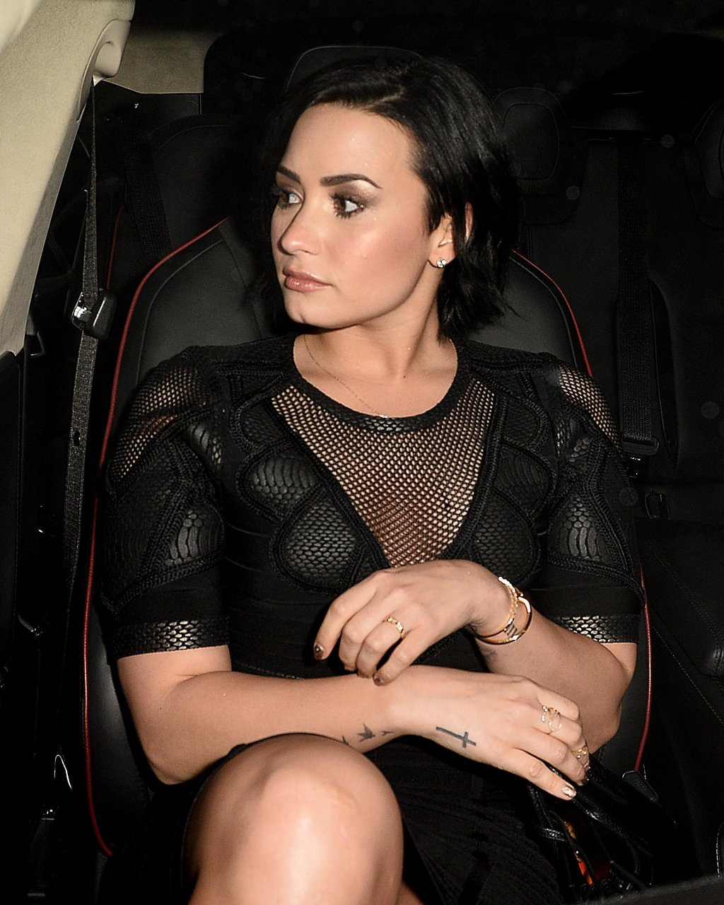 Demi Lovato Pussy