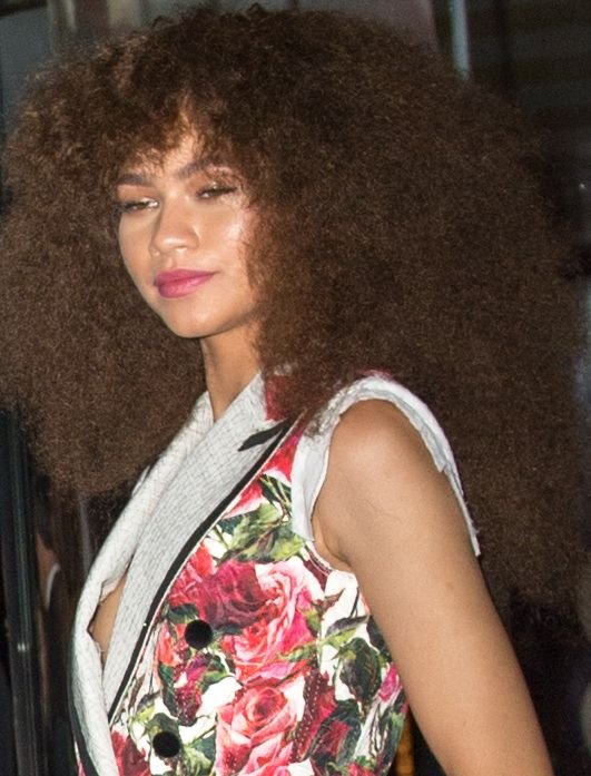 Zendaya Nip Slip Photos