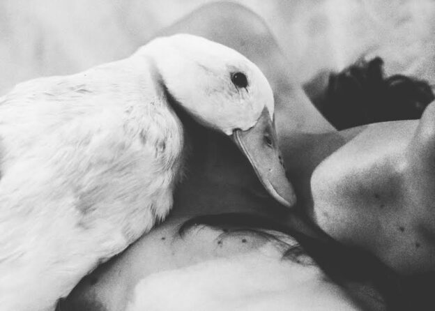 Sara Tansy photo